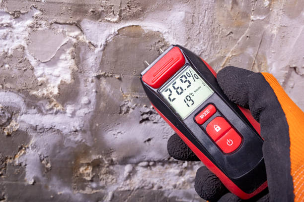 Best Mold Testing  in Blair, NE